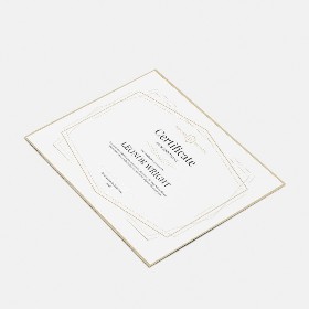 Diplomas Exprés: Visión general