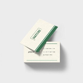 Tarjetas de Visita Recicladas: Vista general