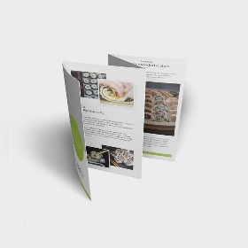 Cuadrípticos A6: Visión general