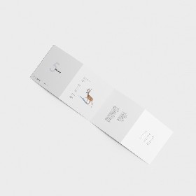 Cuadrípticos Cuadrados: Visión general