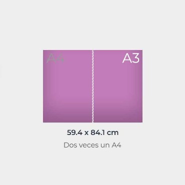 Manteles de Papel Exprés: Medidas