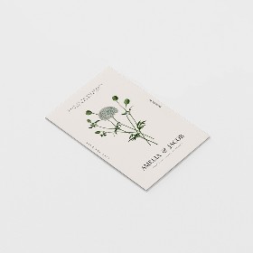 Tarjetones e Invitaciones para eventos